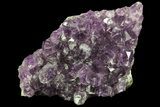 Purple Amethyst Cluster - Uruguay #66719-1